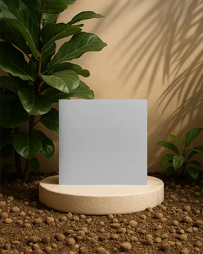 Square Brochure Mockup On Natural Soil Platform With Soft Sunlight And Leafy Plants In Organic Earthy Scene For Promotional Display