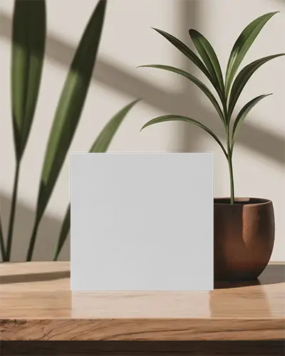 Square Brochure Mockup Standing On Wooden Surface With Sunlight And Potted Plant Shadows In Bright Natural Interior