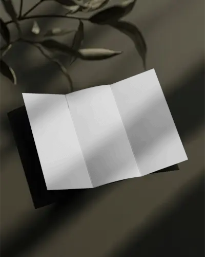 Tri Fold Brochure Mockup On Plain Surface With Natural Light Shadow Effects