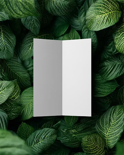 Blank Brochure Mockup Placed On Natural Leaf Texture For Environmental Marketing
