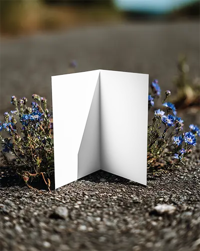 Minimalistic Clean Folded Brochure Mockup With Natural Floral Background