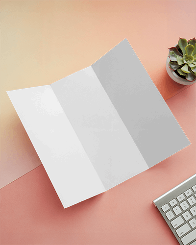 Tri Fold Brochure Mockup With Soft Lighting On Warm Neutral Background