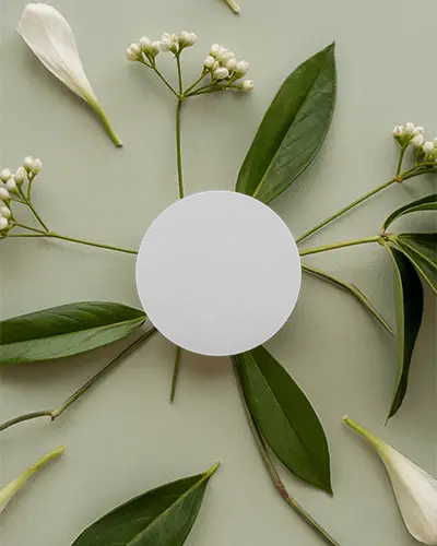Floral Circle Business Card Mockup Round Card Surrounded By Green Leaves And White Petals
