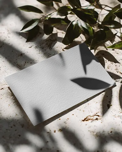 Natural Sunlight Horizontal Business Card Mockup On Stone Surface With Leaf Shadows Organic Look