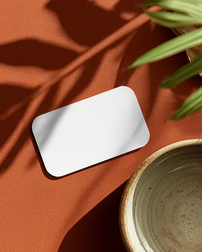 Terracotta Surface Rounded Texture Business Card Mockup With Plant Shadows And Ceramic Bowl Modern