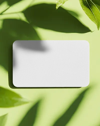 Green Nature Themed Textured Business Card Mockup With Fresh Leaves And Soft Sunlight Shadows