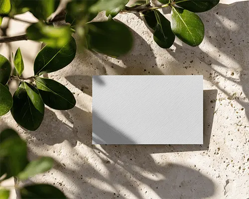 Professional Textured Business Card Displayed With Organic Green Leaf Shadows On Stone