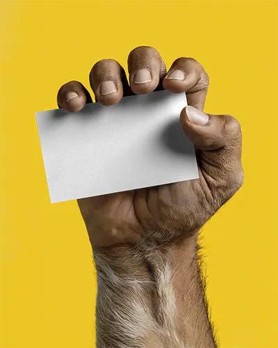 Creative Wildlife Hand Holding Blank Business Card Mockup For Design Display