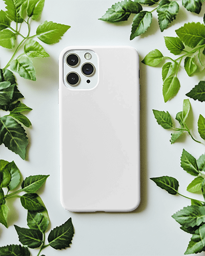 Minimalistic Phone Case Mockup Flat Lay Design With Natural Green Leaves Aesthetic Clean Background 087