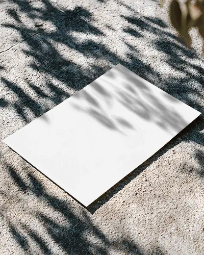 Plain Flyer Mockup On Textured Surface With Leaf Shadows For Design Display