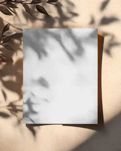 Natural Light Leaf Shadow Flyer Mockup Minimalist Design Flat Lay Stylish Display
