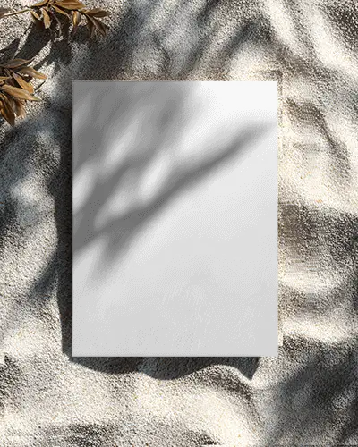 Elegant Minimalist Flyer Mockup With Natural Shadow Texture On Grainy Surface Background