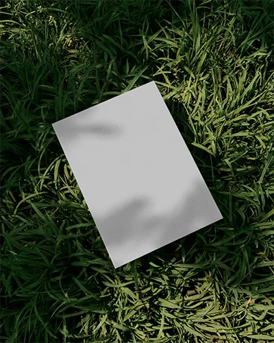 Outdoor Grass Texture Flyer Mockup For Environmental Campaign Design