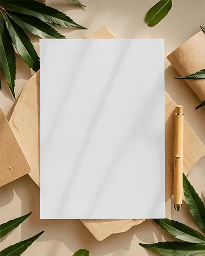 Natural Organic Themed Flyer Mockup On Neutral Background With Green Leaves Bamboo Pen And Kraft Paper Elements 075