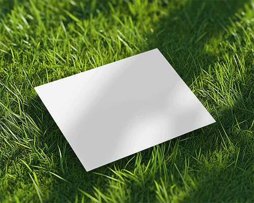 Outdoor Grass Flyer Mockup Bright Natural Light Greenery Display