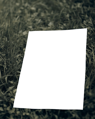 Flyer Mockup Lying On The Grass