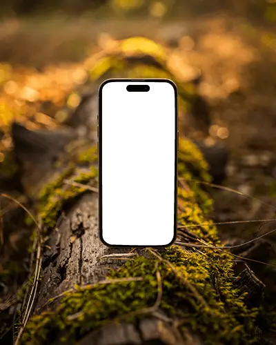 Iphone 14 Pro Mockup Standing On Mossy Log In Golden Forest Light With Natural Bokeh