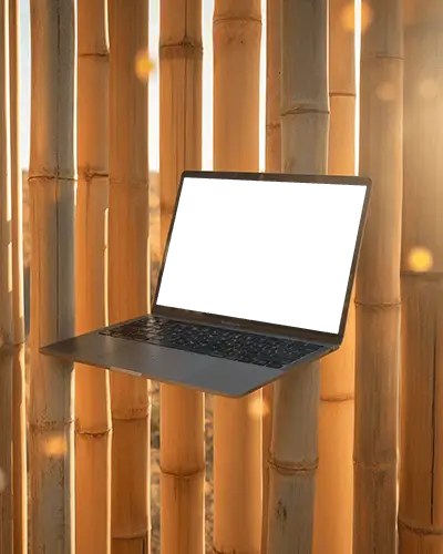 Macbook Air M1 Mockup Hovering In Warm Natural Backdrop With Vertical Bamboo Stalks And Evening Glow