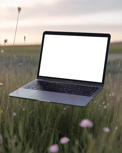 Floating Macbook Air M1 Mockup In Meadow With Pink Flowers And Soft Evening Light