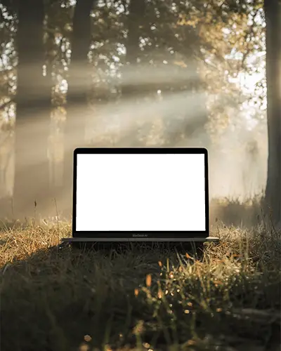 Forest Light Rays Macbook Air M1 Mockup On Grassy Ground With Soft Sunbeams And Fog
