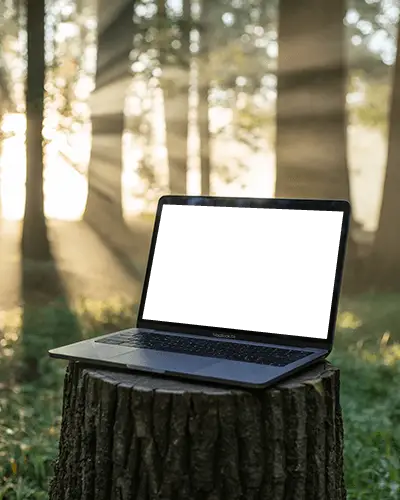 Forest Morning Macbook Air M1 Mockup On Tree Stump With Dramatic Sunlight Rays