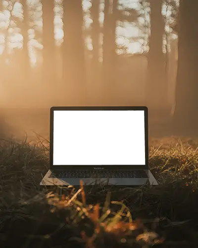 Macbook Air M1 Mockup In Sunlit Forest Clearing With Soft Golden Light And Natural Ambience