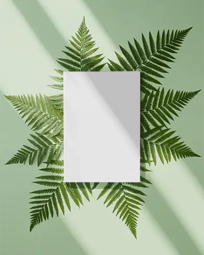 Flat Lay Magazine Mockup On Green Leaf Arrangement For Sustainable Marketing Campaigns