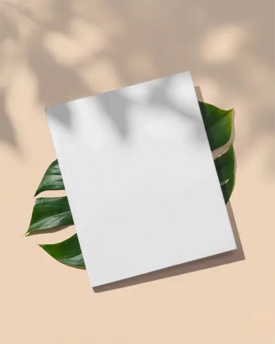 Minimalist Magazine Cover Mockup With Tropical Leaf And Subtle Light Effects