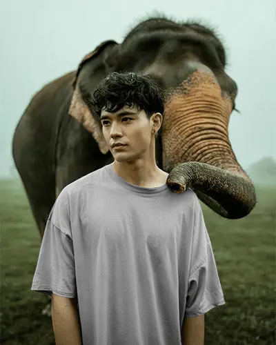 Lifestyle Tshirt Mockup Male Model Standing With Elephant In Green Field Nature Scene