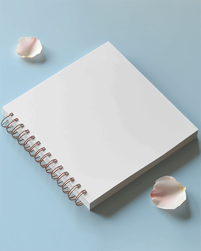 Delicate Floral Notebook Mockup On Soft Blue Surface With Petal Decorations Fresh And Elegant