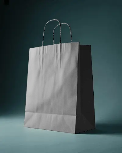 Blank Craft Paper Bag Mockup Sustainable Packaging Design For Retail And Marketing Use