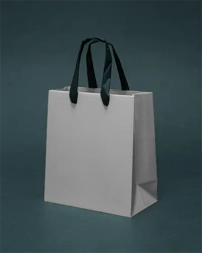 Eco Friendly Paper Bag For Retail Packaging Handled Bag For Shopping And Gifting