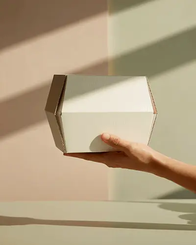 Pastel Sunlight Sticker Mockup Hand Holding Cardboard Box For Packaging Brand Presentation 0222