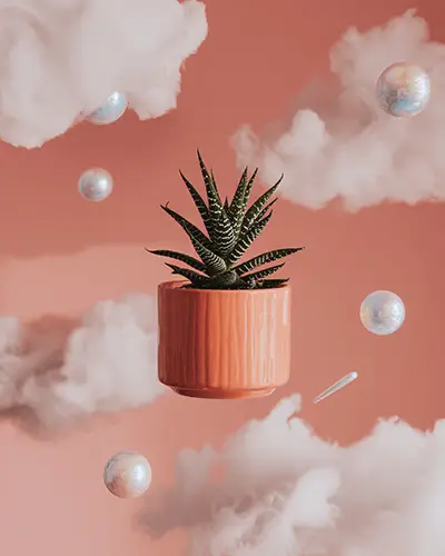 Sticker Mockups Floating Potted Succulent In Dreamy Cloud Scene With Soft Pastel Peach Background