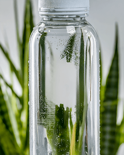 Clear Bottle Sticker Mockup Minimalistic Label Design With Fresh Green Background