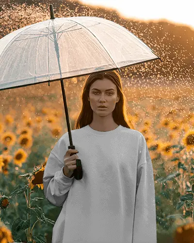 Sunflower Field Sweatshirt Mockup Female Model With Umbrella Sunset Glow Scene