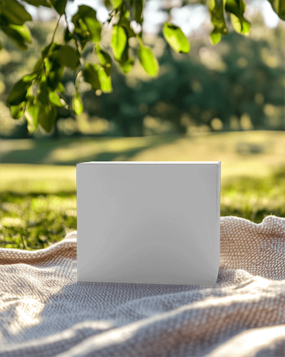 Sunlit Outdoor Packaging Box Mockup On Cozy Blanket Under Tree Serene And Natural Ambience 0134
