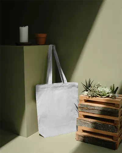 Minimalist Tote Bag Mockup In Modern Interior Setting With Natural Succulents And Textured Surfaces