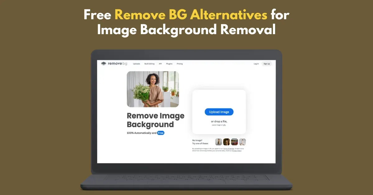 Free Remove BG Alternatives for Image Background Removal